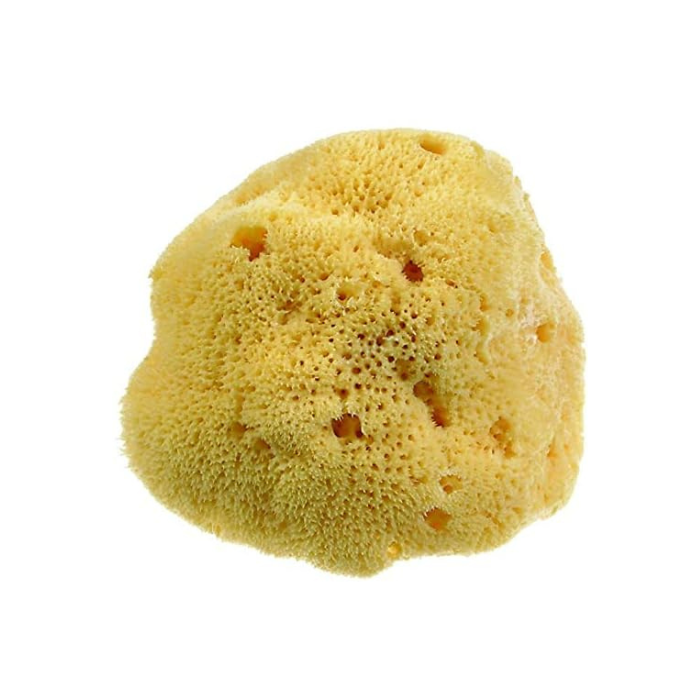 Beauty Time 100% Natural Sea Sponge Medium